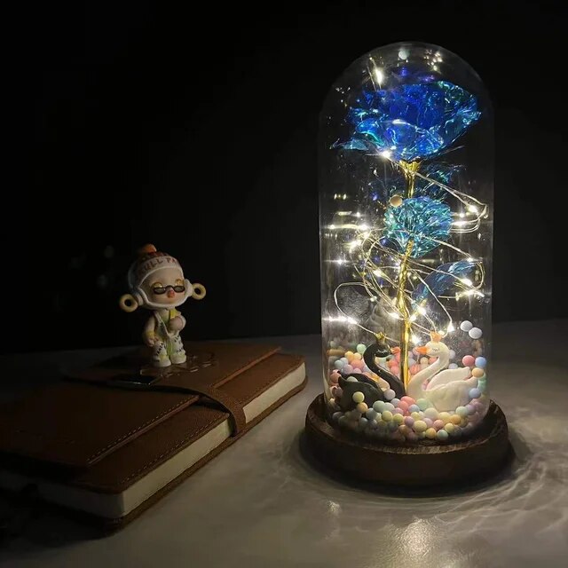 47096220156187